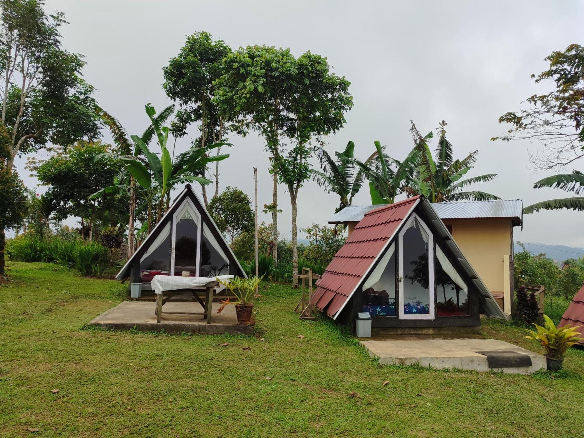 Hotel Bugo Camp Munduk Zewnętrze zdjęcie